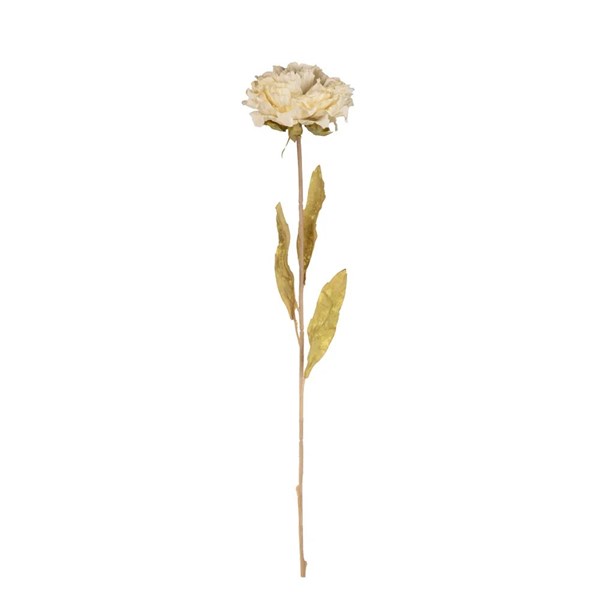 Dry Peony 63 cm 173-1006 Creamy