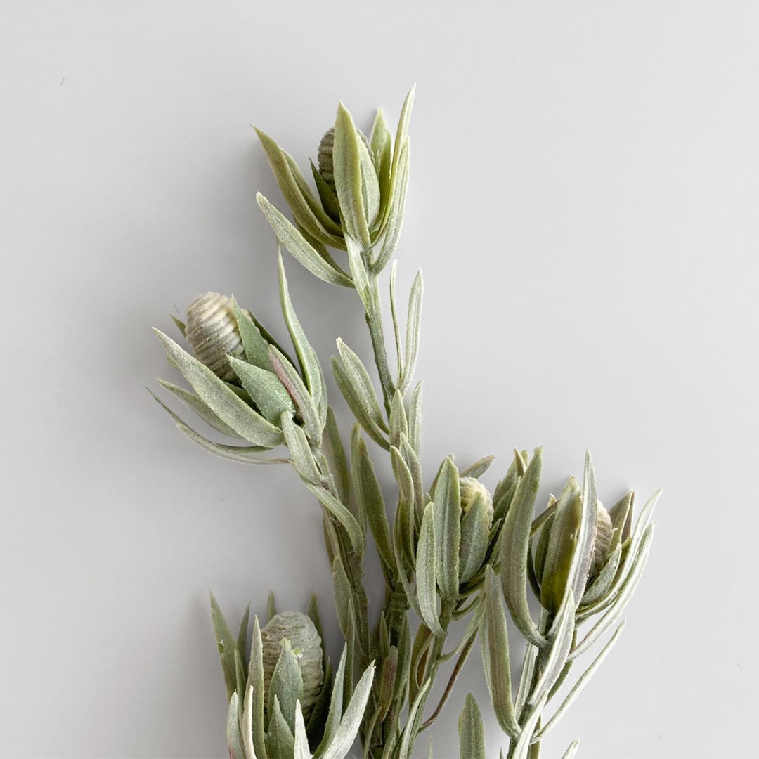 Protea Dekoratif Çiçek 77 cm 33-2256 Km Yeşil