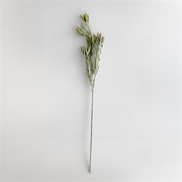 Protea Dekoratif Çiçek 77 cm 33-2256 Km Yeşil