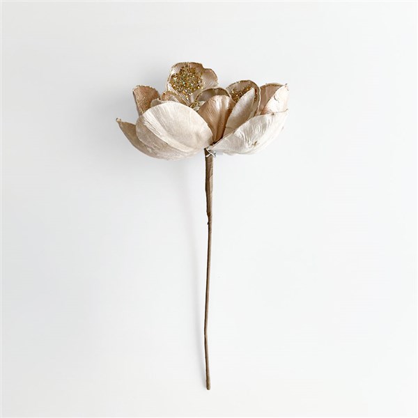 Magnolia Stem Champagne 46 cm 54-0021CH 