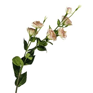 Pink 6 Roses Decorative Flower P358.374808