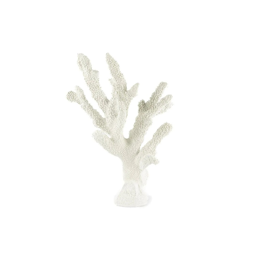 Beyaz Mercan 25*36 cm P356.821717 