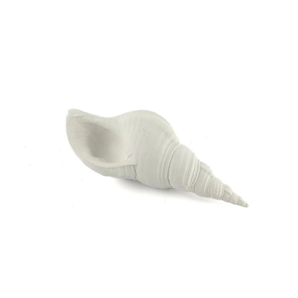 Deniz Kabuğu Beyaz 21*7 cm P356.821496 