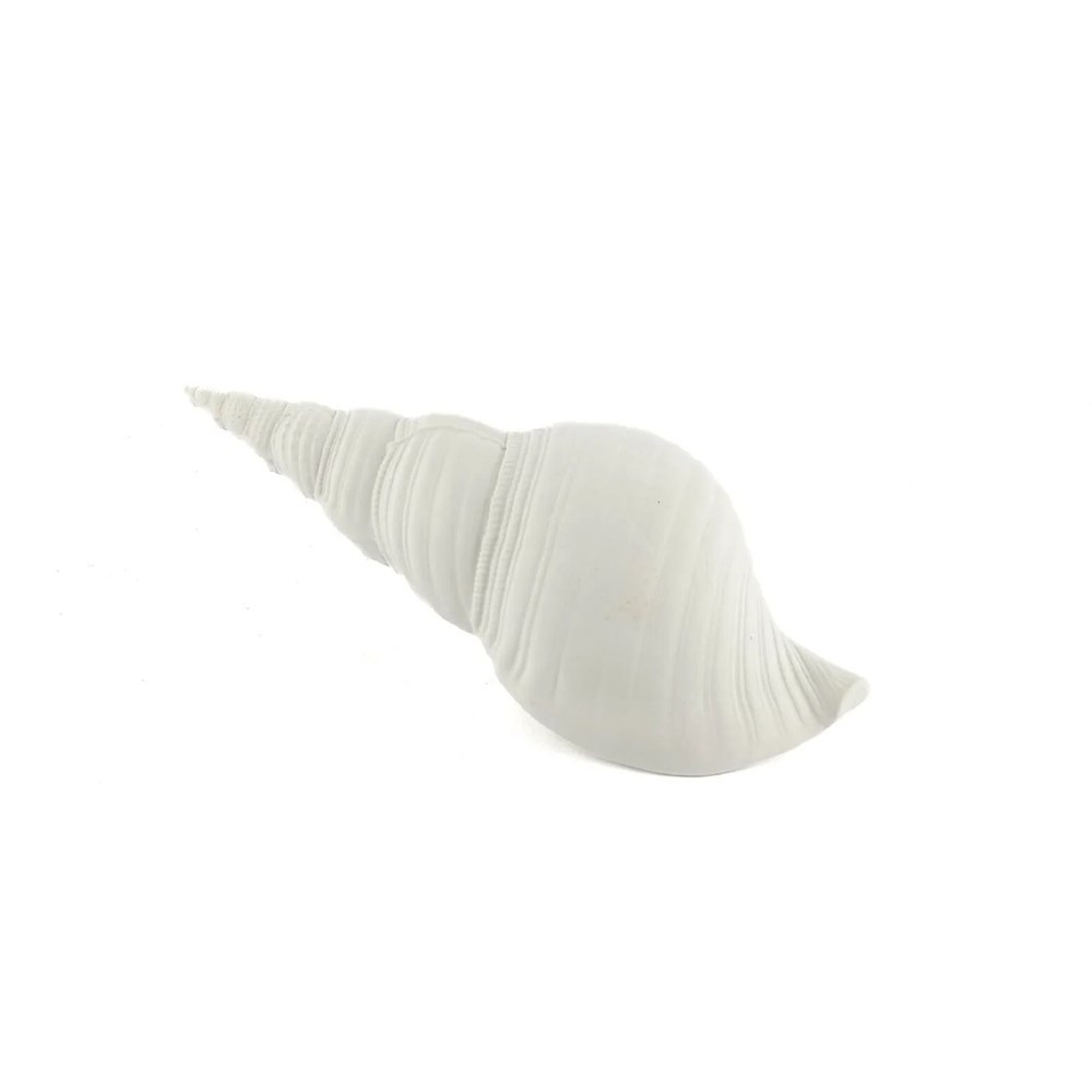 Deniz Kabuğu Beyaz 21*7 cm P356.821496 