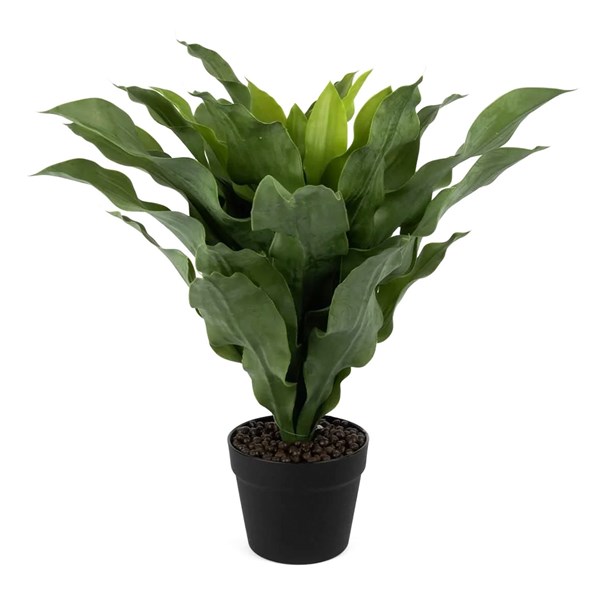 Brazilwood Yapay Çiçek 60 cm P360.824886 