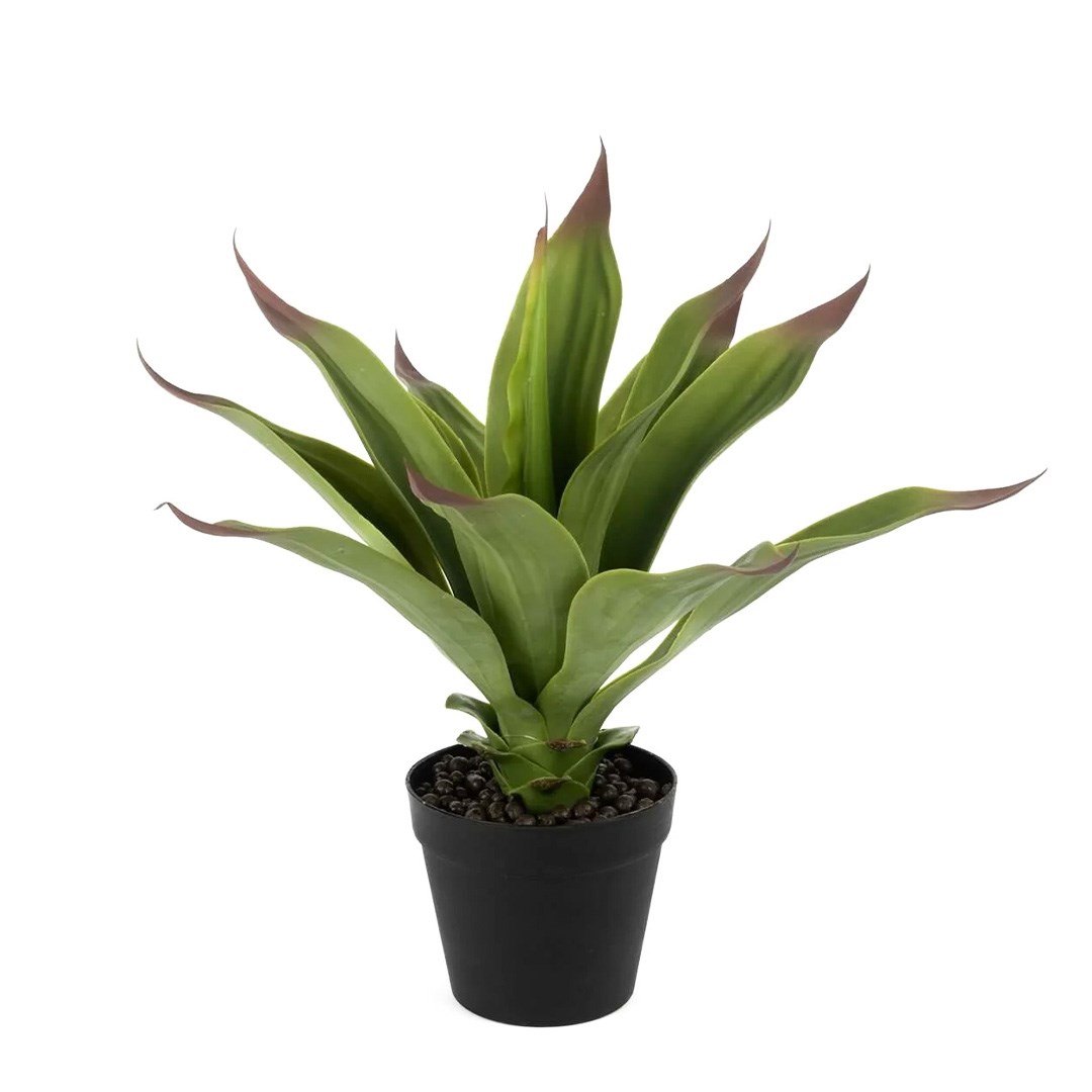 Agave Yapay Çiçek 50 cm P360.825258 