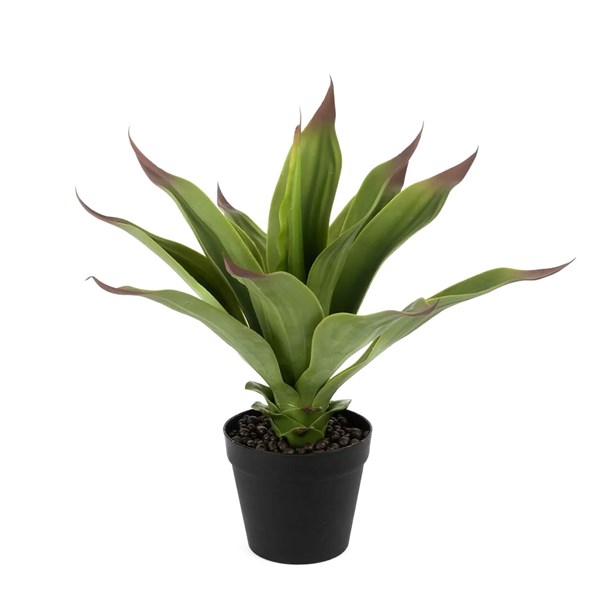 Agave Yapay Çiçek 50 cm P360.825258 
