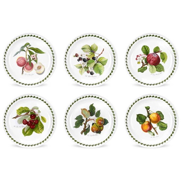 Pomona Set of 6 Dinner Plates