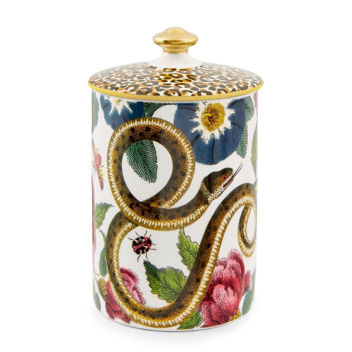 Creatures of Curiosity Candle White RW.CRCWH.8958-XG 
