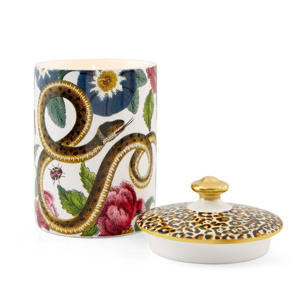 Creatures of Curiosity Candle White RW.CRCWH.8958-XG 