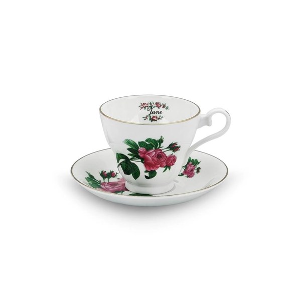 Flower of the Month June Rose Stratford Tea Cup AY.6974045822283