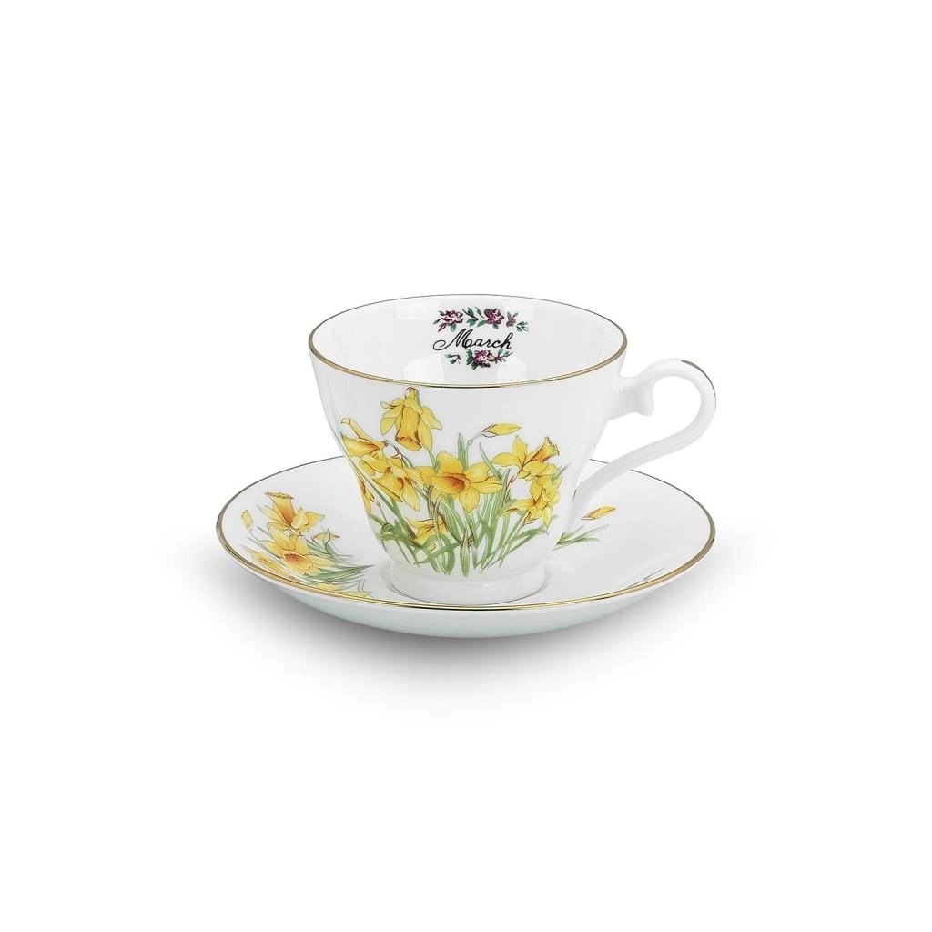 Flower of the Month March Narcissus Stratford Tea Cup AY.6974045822252 