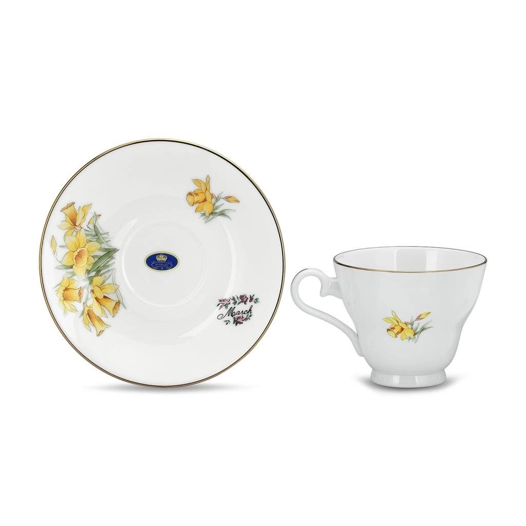 Flower of the Month March Narcissus Stratford Tea Cup AY.6974045822252 