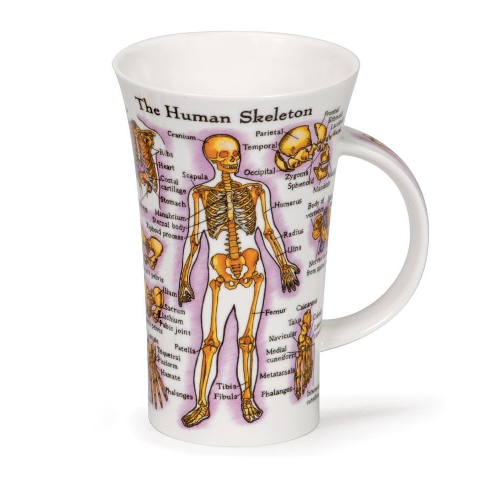 Dunoon Mug Glencoe Human Body DUN.GL.HUMB 