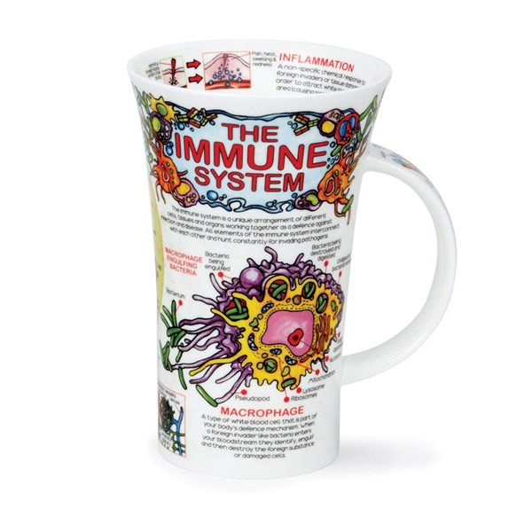 Dunoon Mug Glencoe Immune System DUN.GL.IMMS 