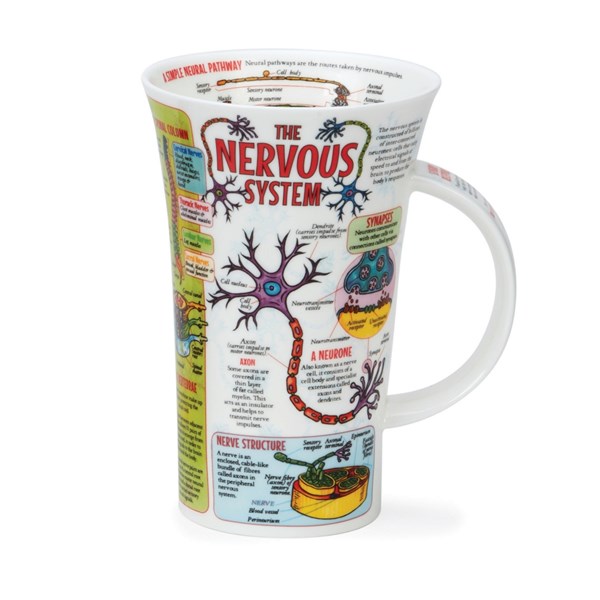Dunoon Mug Glencoe Nervous System DUN.GL.NERS 