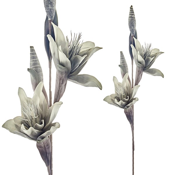 Freesia 2'li Gri Beyaz 100 cm 1LF-14851A 